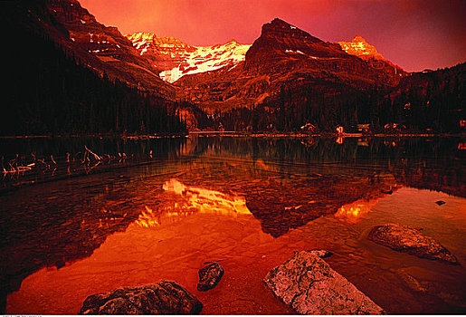 欧哈拉湖,日落,幽鹤国家公园,不列颠哥伦比亚省,加拿大