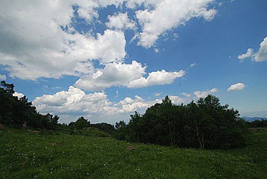 盛夏的百花山