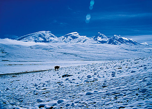 帕米尔高原雪山连绵