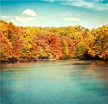 湖,自然,风景