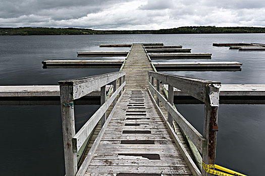 木码头,海洋,新斯科舍省,加拿大