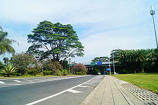 深圳滨海大道景观