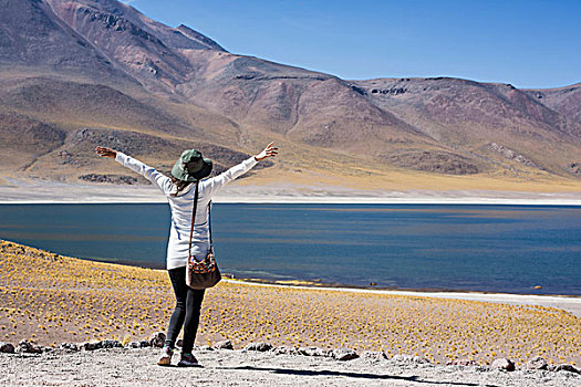 女人,湖,抬臂,佩特罗,阿塔卡马沙漠,智利