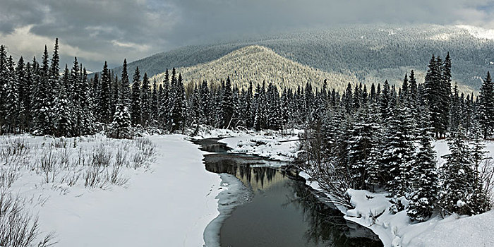 河流,积雪,风景,不列颠哥伦比亚省,公路,平和,河,加拿大