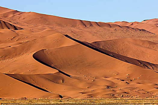 纳米布沙漠,纳米比诺克陆夫国家公园,索苏维来地区,沙丘,纳米比亚