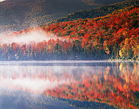 纽约,阿第伦达克山,阿迪朗达克州立公园,保存,秋色,糖枫,树,糖槭,雾,反射,心形,湖,大幅,尺寸