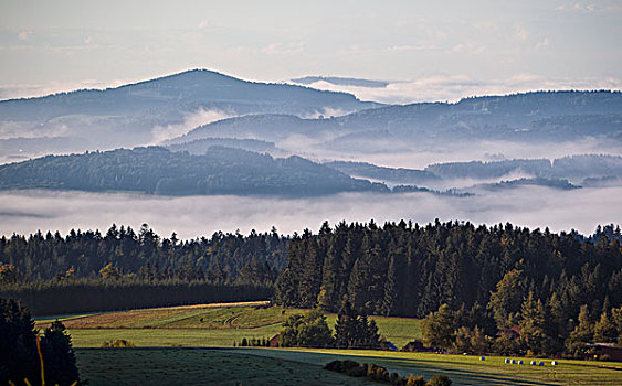 晨雾,高处,巴伐利亚森林,靠近,德国