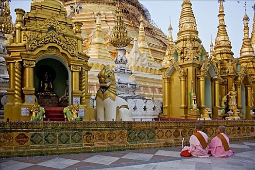 缅甸,仰光,两个,年轻,佛教,女僧侣,祈祷,大金寺,金庙,印度,复杂,惊恐,场所