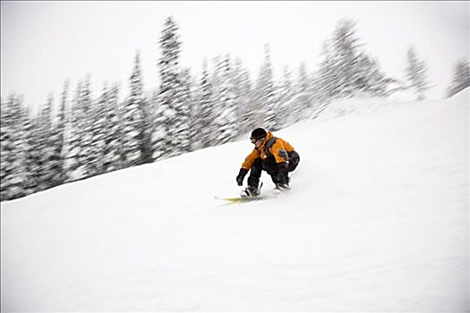 男人,滑雪板,班芙国家公园,艾伯塔省,加拿大