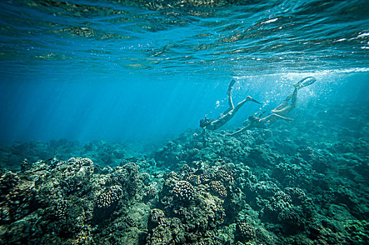 水下呼吸管,游泳,珊瑚