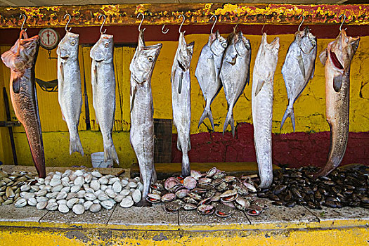鱼肉,摊亭,海滩,靠近,维尼亚德尔马,智利