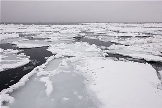 浮冰,根室海峡,知床半岛,北海道,日本