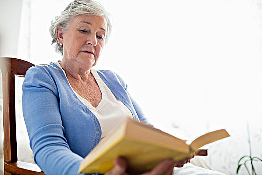 老年,女人,读,书本,老年之家