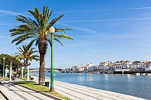 红色,长椅,棕榈树,河边,公园,河,老城,背景,塔维拉,阿尔加维,葡萄牙