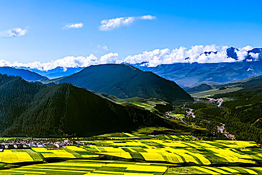 美丽青海