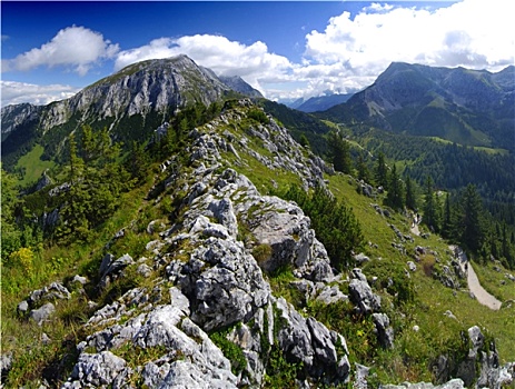 阿尔卑斯山