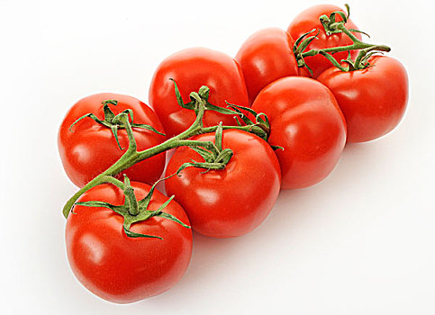 新鲜,西红柿茎,茄属植物