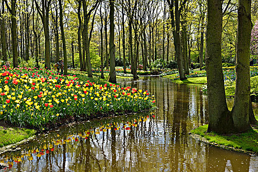 库肯霍夫公园,荷兰南部,荷兰