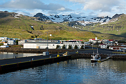 西部,冰岛,韦斯特兰德,斯奈山半岛,港口,城市,区域