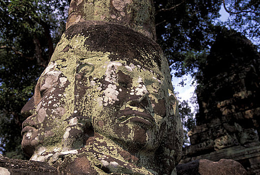 柬埔寨,收获,吴哥,区域,庙宇,雕刻,遮住脸,苔藓