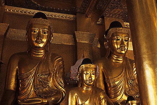 缅甸,仰光,大金塔,金色,佛像