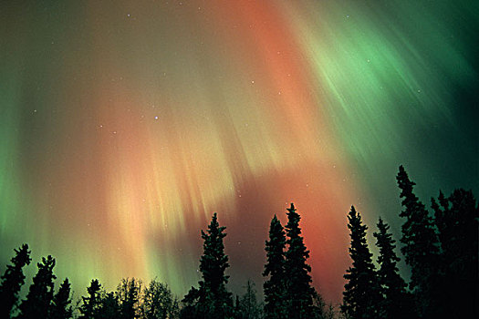 美国,费尔班克斯,区域,中心,阿拉斯加,北极光,太阳,十月,2003年