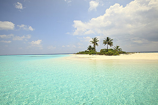 棕榈树,海滩,岛屿,北方,环礁,马尔代夫