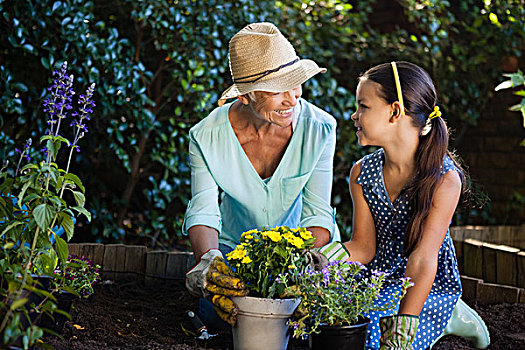高兴,祖母,孙女,种植,花盆,后院