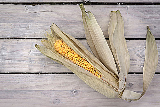 玉米,厚木板