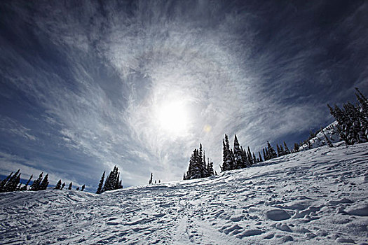 冬季风景,惠斯勒山,不列颠哥伦比亚省,加拿大