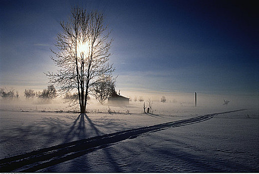 日出,上方,风景,冬天,渥太华,安大略省,加拿大