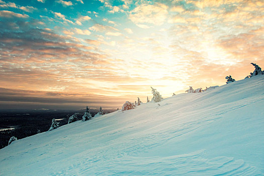 漂亮,冬天,日落,风景,芬兰
