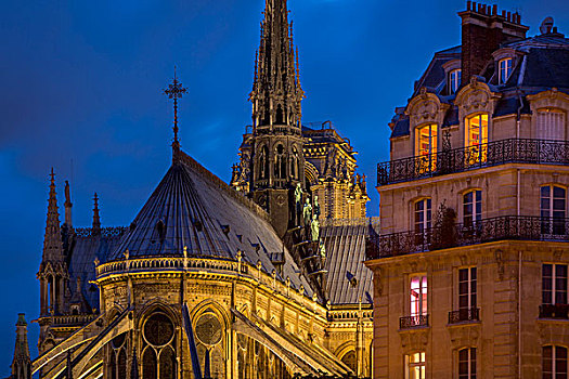 黎明,风景,大教堂,建筑,巴黎,法国