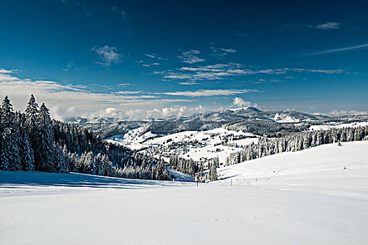 雪,冬季风景,黑森林,巴登符腾堡,德国,欧洲