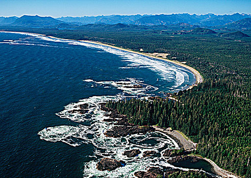 俯视,海滩,环太平洋国家公园,温哥华岛,不列颠哥伦比亚省,加拿大