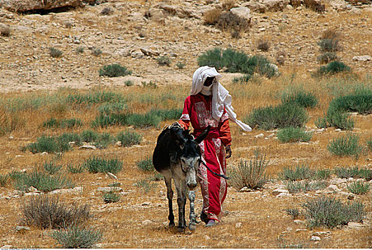 女人,驴,以色列