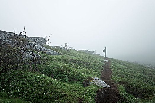 站立,男人,雾状,风景