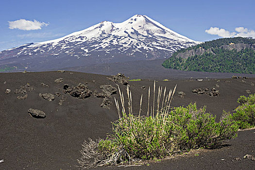 草,火山岩,火山灰,火山,国家公园,区域,智利,南美