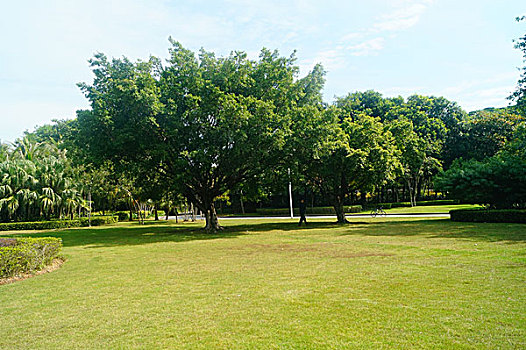 深圳红树林公园景观
