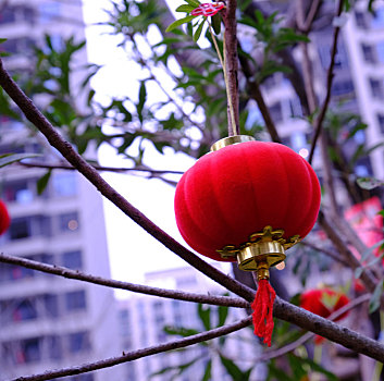 静物特写-新年红灯笼