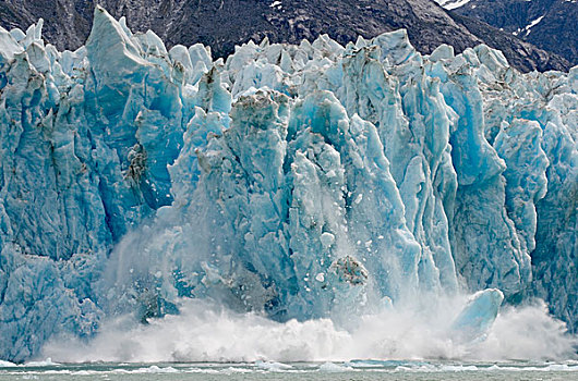 冰山,脸,冰河,恩迪科特湾,东南阿拉斯加,夏天