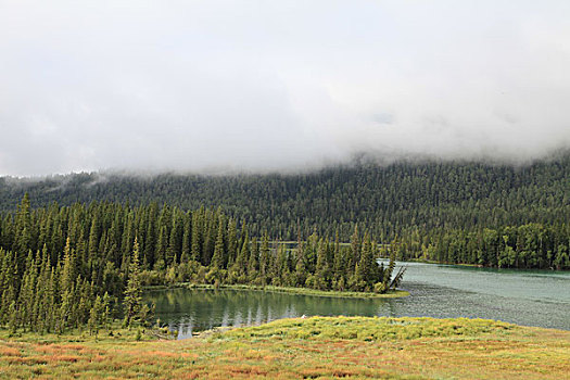 喀纳斯湖美景