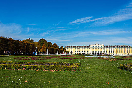 维也纳,十月,美泉宫,奥地利,建筑,一个,流行,旅游胜地