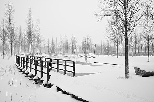 雪景