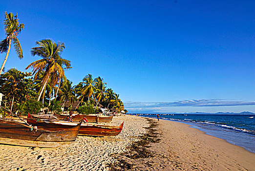 海滩,好奇,马达加斯加,非洲
