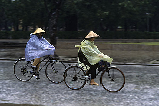 北越,河内,中心,街景,人,自行车