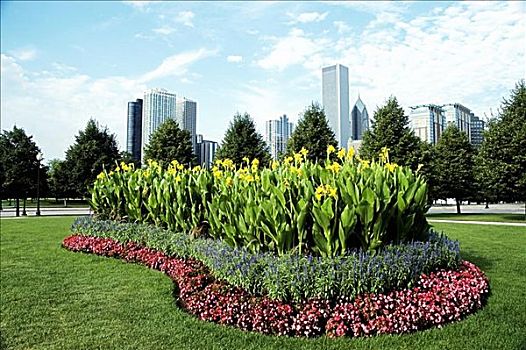 花坛,公园,芝加哥,伊利诺斯,美国