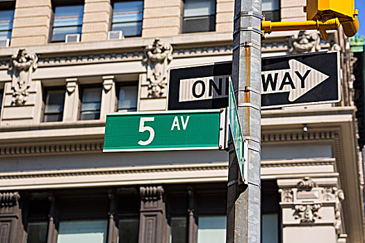 道路,绿色,标识,纽约,美国