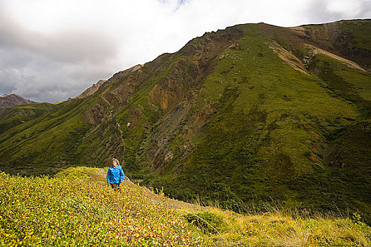女性,远足,山脊,靠近,德纳里峰国家公园,室内,阿拉斯加