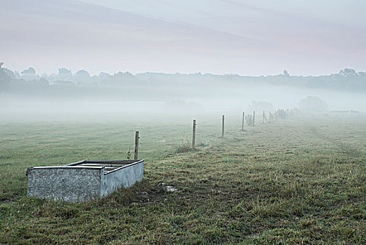 雾状,风景,英国,乡村,牲畜,槽
